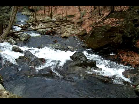 Doodletown Brook in March