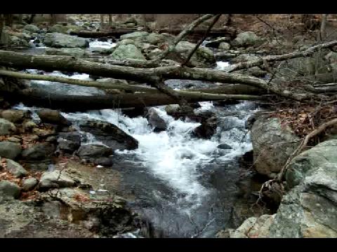 Doodletown Brook in Spring