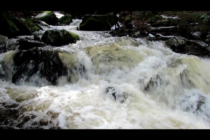 MulletBrookMar2013