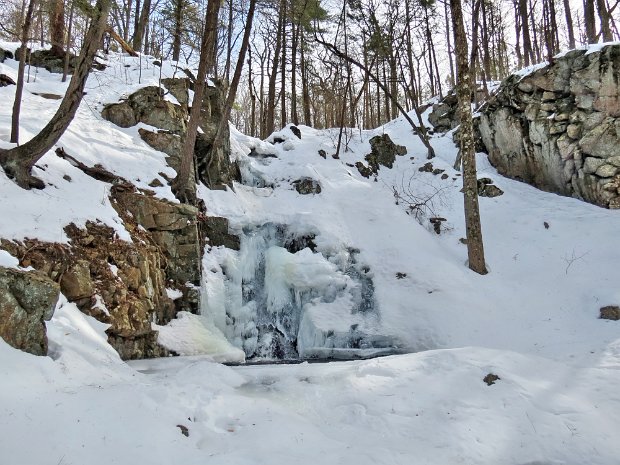 ATFitzgeraldFallsMar2014