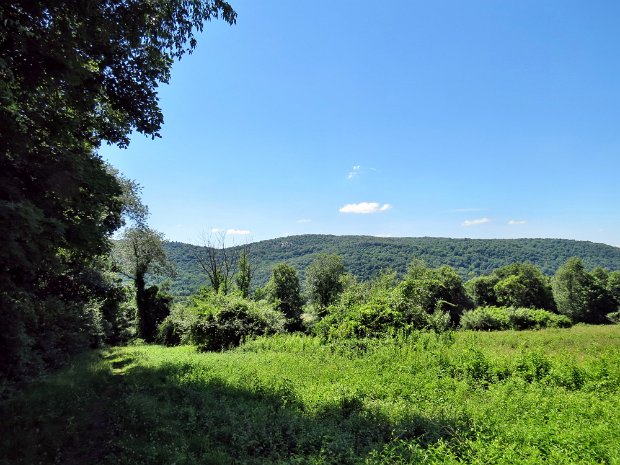 Route20HoytRdJul2014