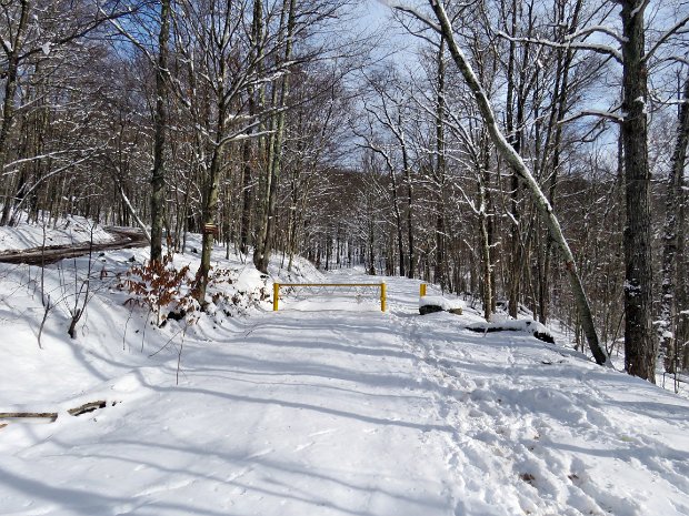 BeaverPondJan2021
