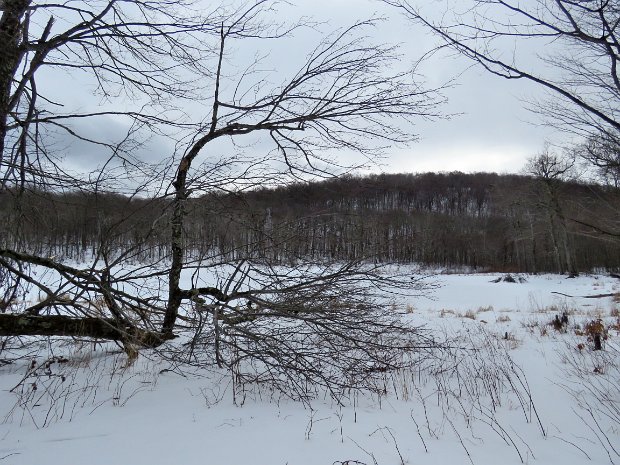 BeaverPondMar2023