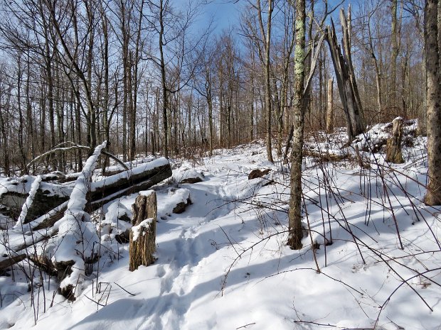 BigPondAlderJan2019