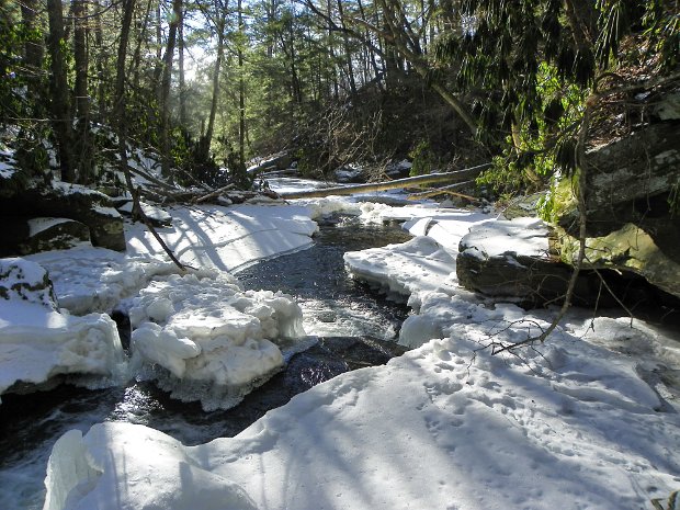 AngelFallsFeb2010