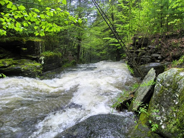 AngelFallsMay2011