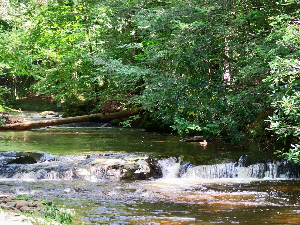 TroutCreekAug2020