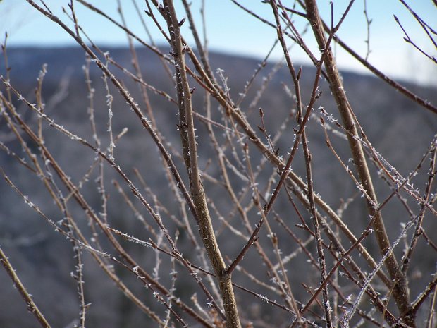 BalsamLakeDec2007