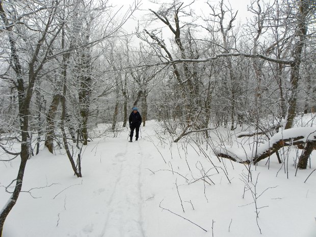 BalsamLakeFeb2010