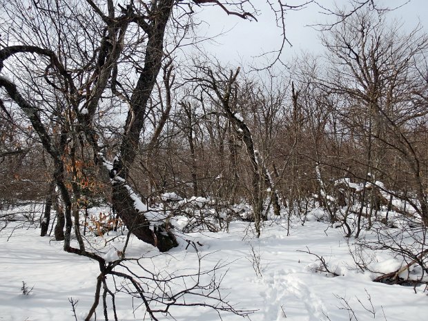 BalsamLakeFeb2014