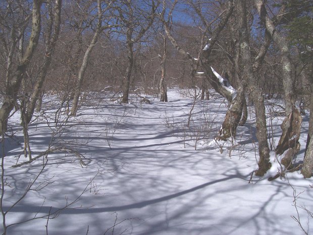 BalsamLakeMar2006