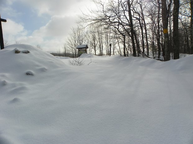 BalsamLakeMar2011