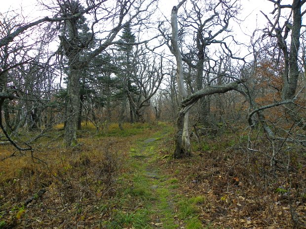 BalsamLakeOct2010
