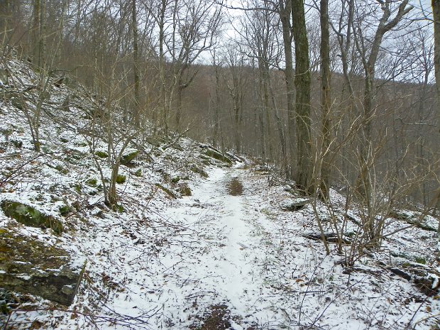 GrahamApr2011