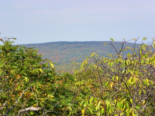 GrahamSep2010