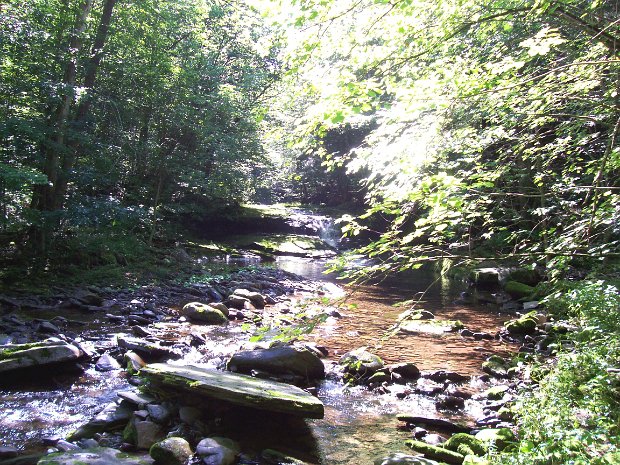 SegarJul2006