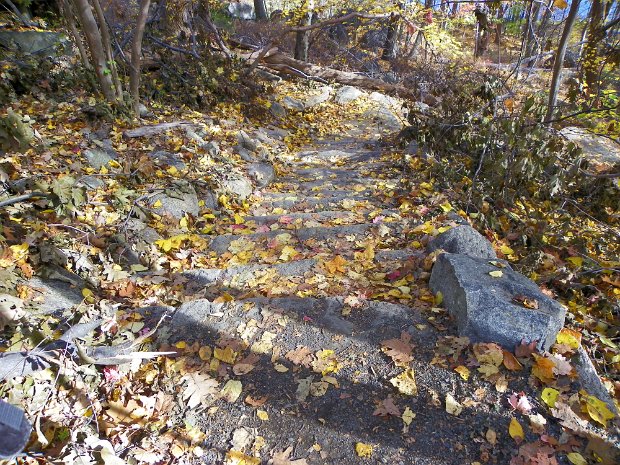 BearMtStepsOct2010