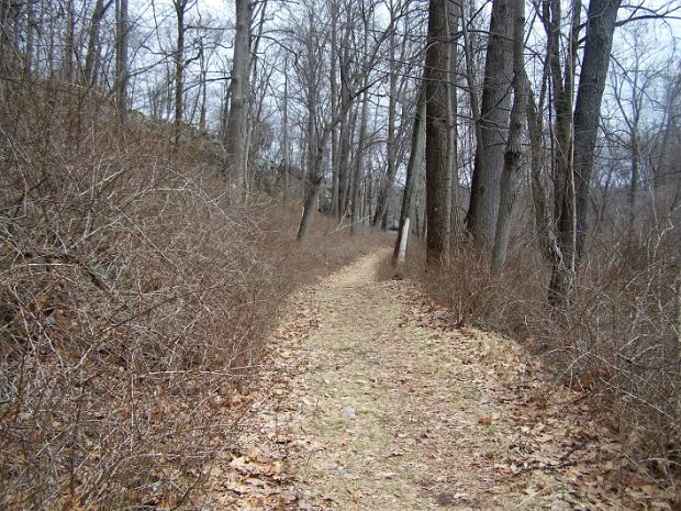 WestBearApr2008