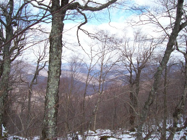 BigIndianFirMar2006