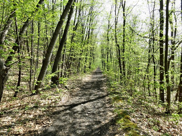 NorthSouthTrailsMay2015
