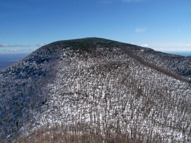 BlacksFeb2009
