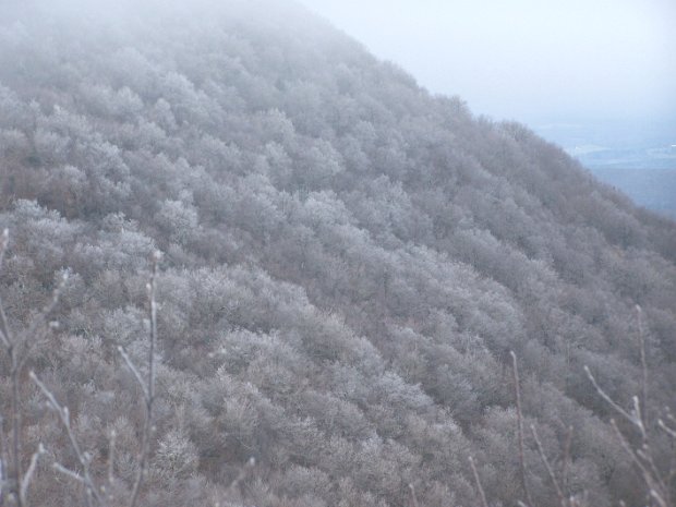 BlacksNov2006