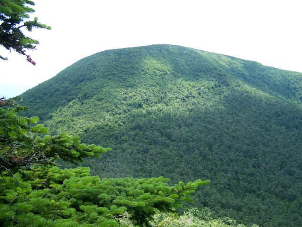DomeColeHeadJun2007