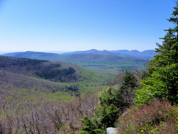DomeColeHeadMay2012
