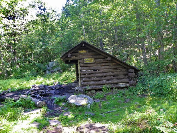 HeadDomeColeAug2010