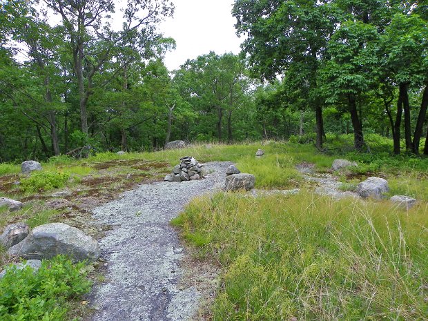 BoulderPineMay2010