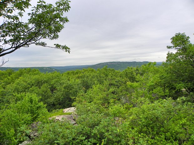 BuckKinnelonJun2010