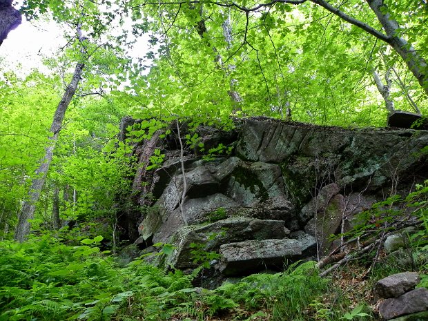 BurroughsMoonhawJul2011