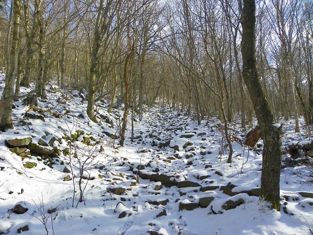 SlideJan2012