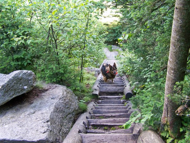 SlideJul2008