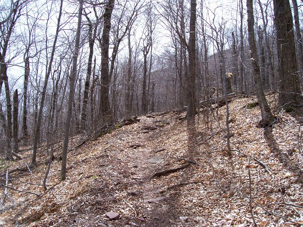 WittenbergApr2006