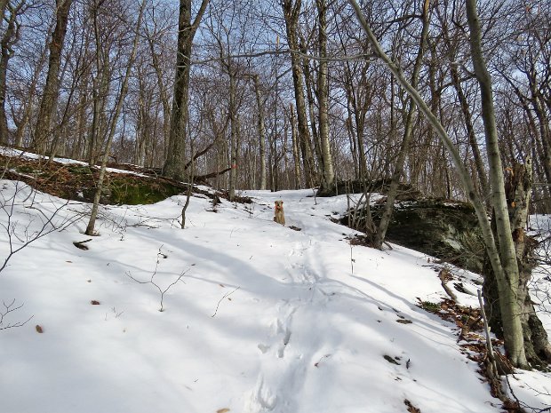 BeechHillRdDec2016