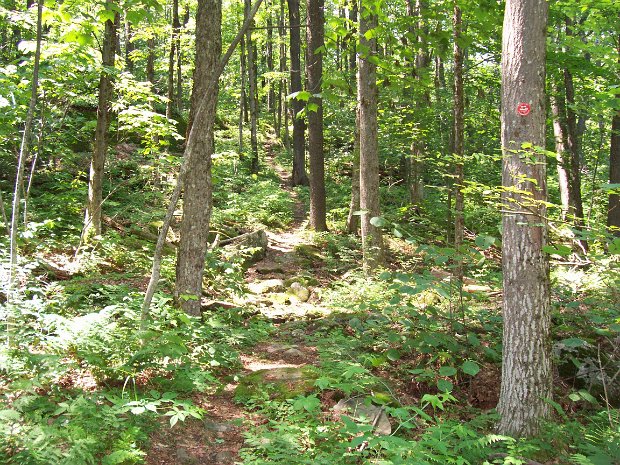 CabotJul2006