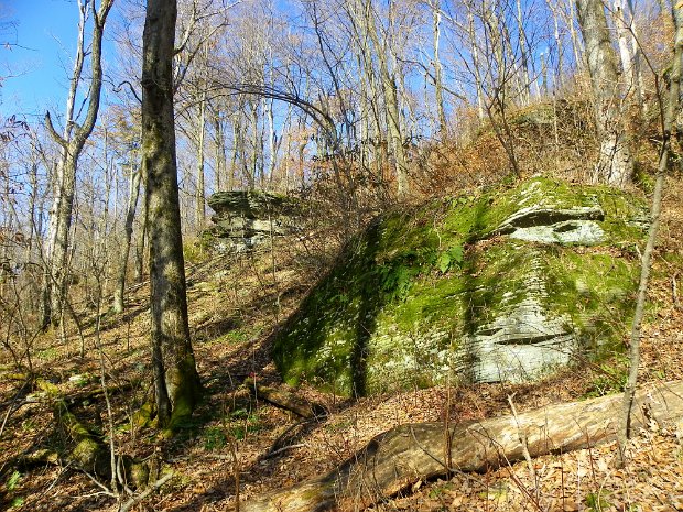 CabotNov2011