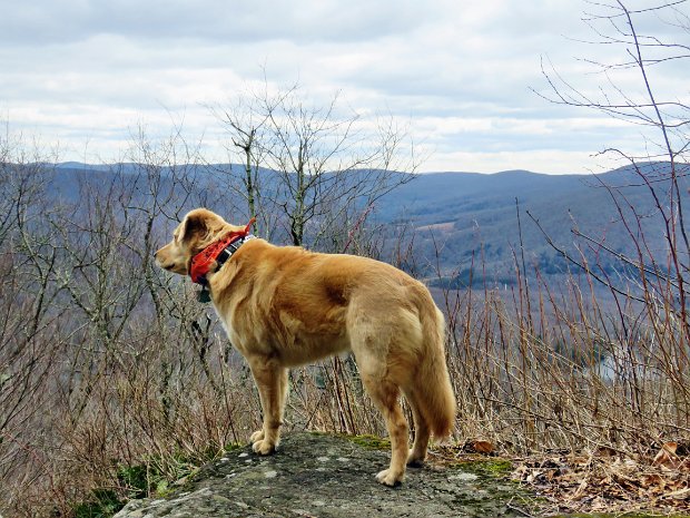 Cabot