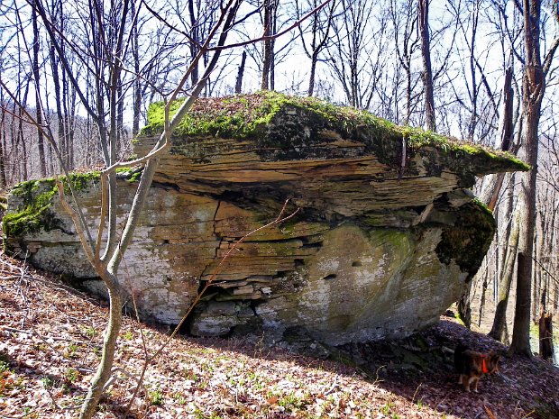 CradleRockRidgeMar2012