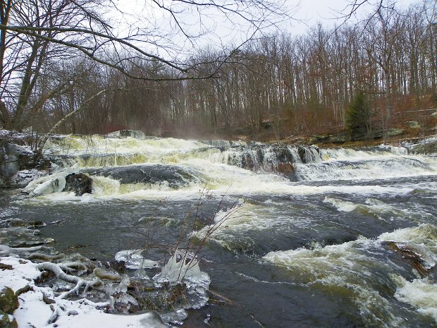 ShoholaFallsJan2010