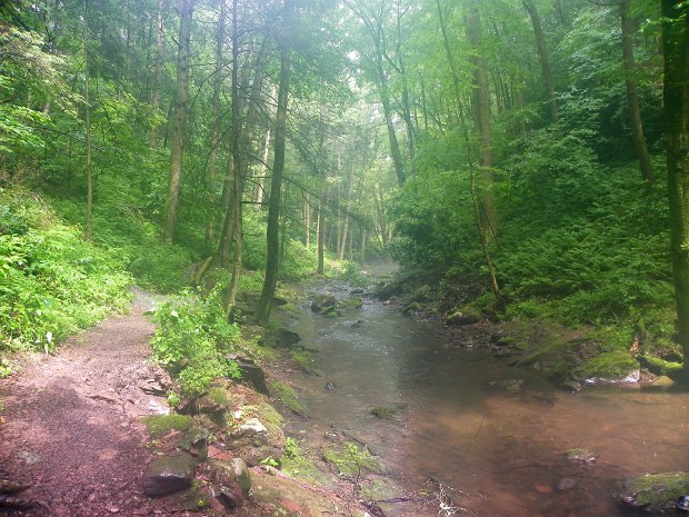VanCampensJun2010