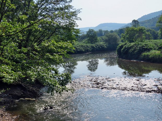 WestBranchRailTrailJul2019