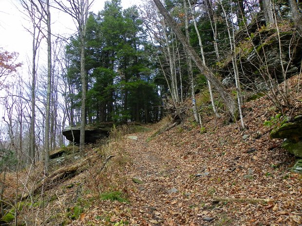 DryBrookNov2010
