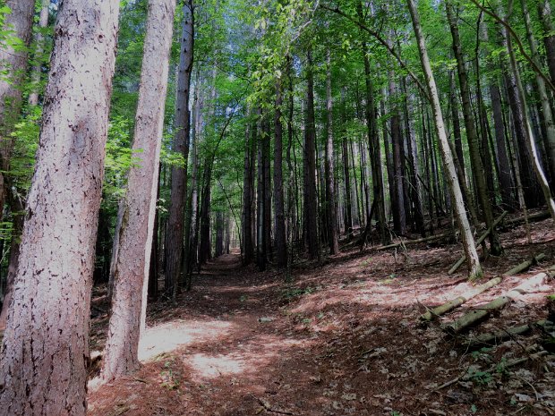 HillRoadAug2012