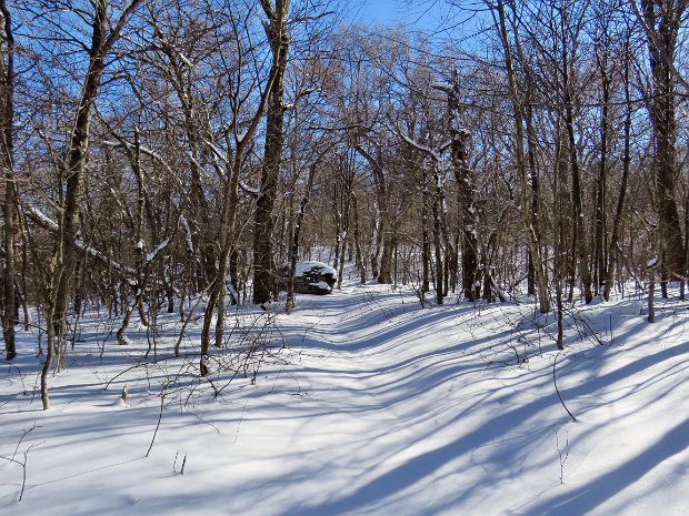 HillRoadFeb2017