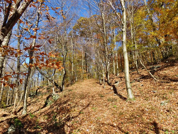 HillRoadOct2015