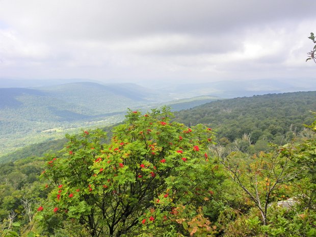 HillRoadSep2011
