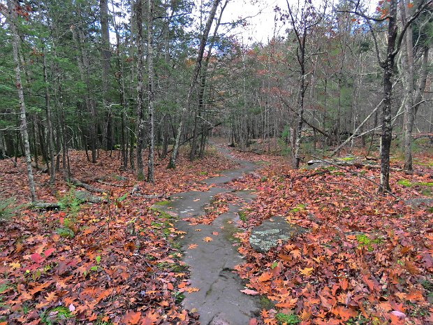 HangingRockFallsNov2021