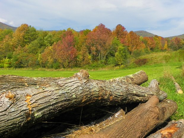 FallColorsSep2010